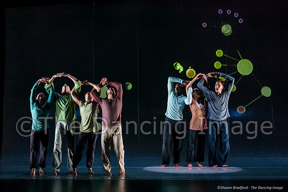Motionhouse SCATTERED-0796