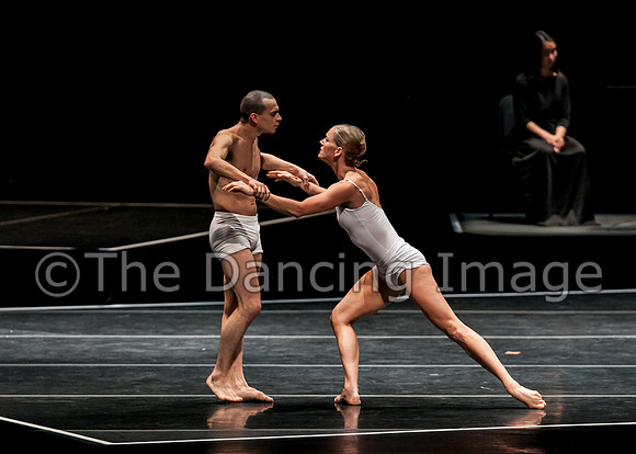 Spectrum Dance - LOVE-0649