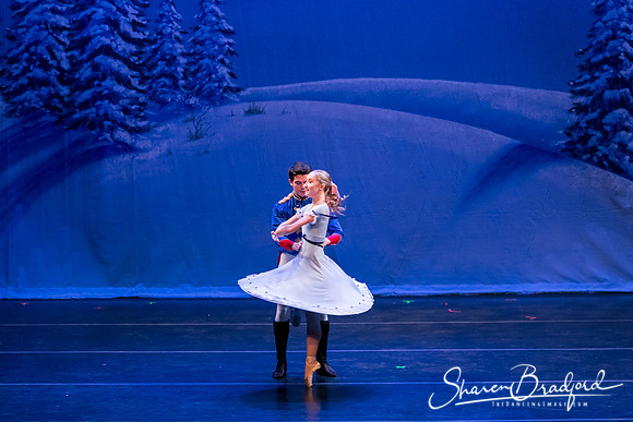 Snow Scene pc Sharen Bradford-0863