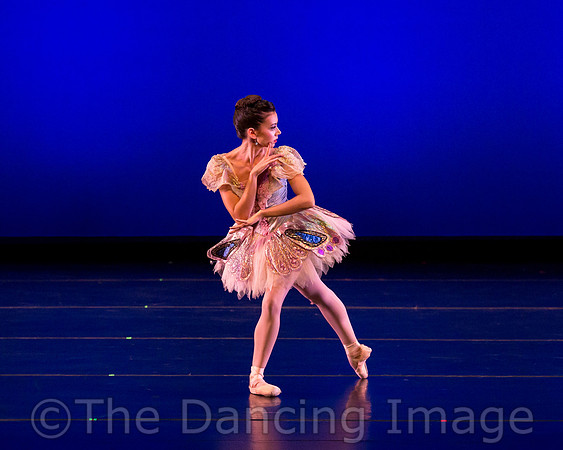 Texas Ballet Theater-1172