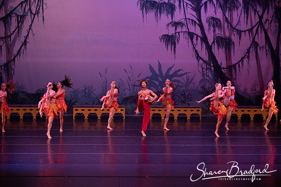 TDC La Bayadere pc Sharen Bradford-3049