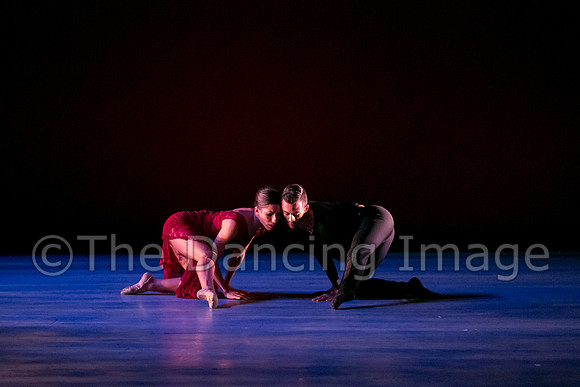 Chado Danse-2824