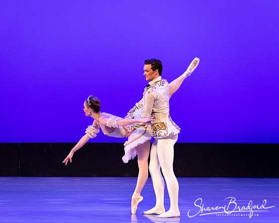 TBT Sleeping Beauty Pas pc Sharen Bradford-1410