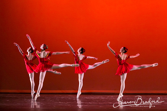 Mozart pc Sharen Bradford-3922