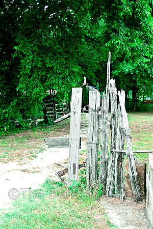 Penn Farm-0723