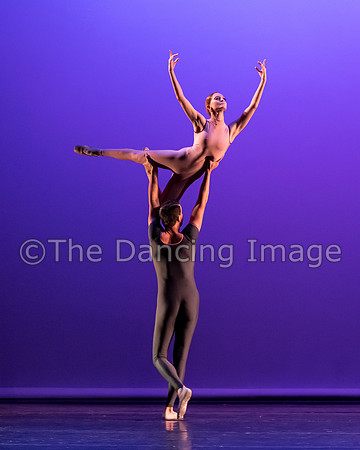 Dream on a Cirrus Sky-6512