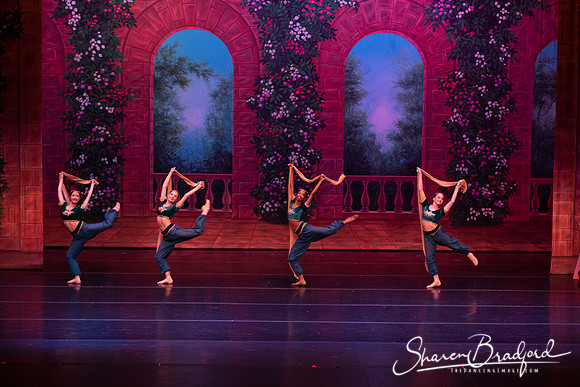 TDC La Bayadere pc Sharen Bradford-2710