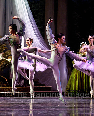 TB Sleeping Beauty Wed.-0057
