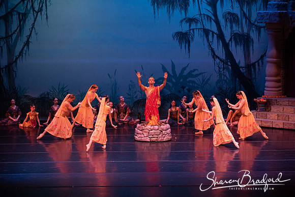 TDC La Bayadere pc Sharen Bradford-2463