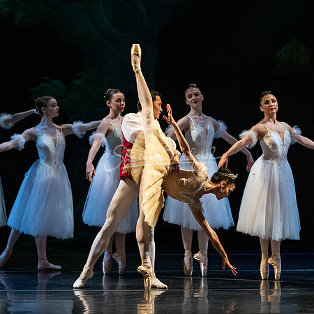 Ballet NTX Sleeping Beauty pc Sharen Bradford-1300