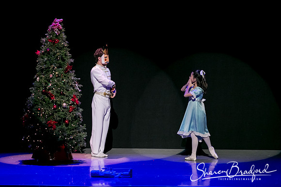 Rockefeller Christmas 1 pc Sharen Bradford-5717
