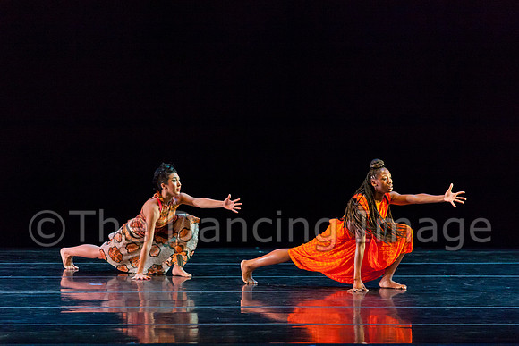 Chalabati Sat-0246