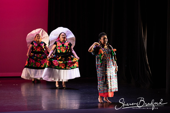 Mujer Oaxaquena pc Sharen Bradford-40791