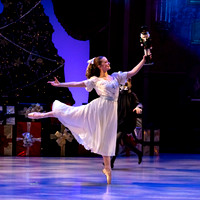 CCBT Nutcracker 19 pc Sharen Bradford-4413