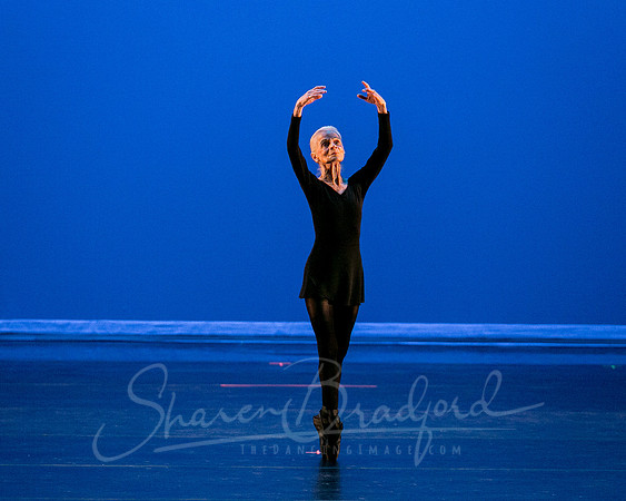 Suzelle Poole- Romance-1268