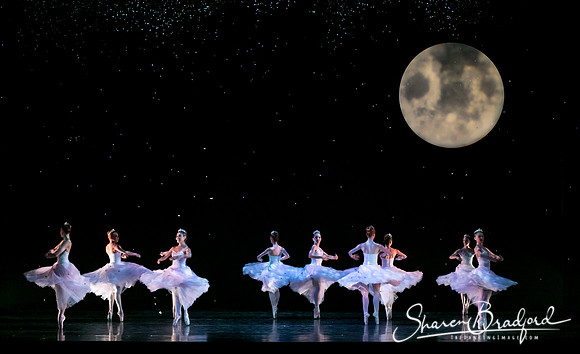 Nutcracker eve pc Sharen Bradford-6843