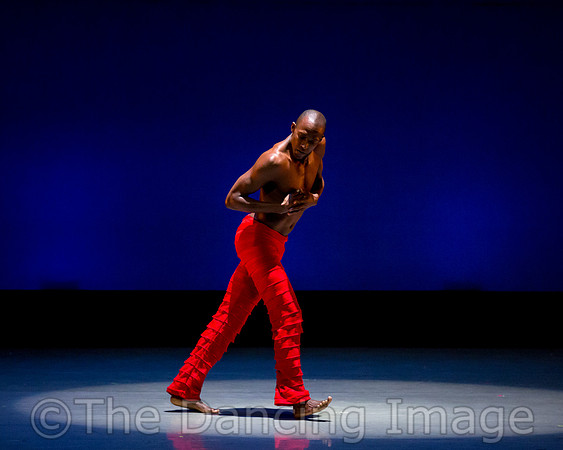 Alvin Ailey ADT-0055