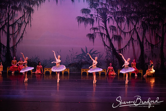 TDC La Bayadere pc Sharen Bradford-3210