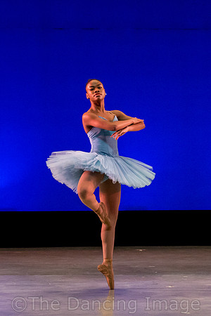 Raymonda Variation-3309