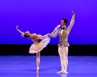 TBT Sleeping Beauty Pas pc Sharen Bradford-1382
