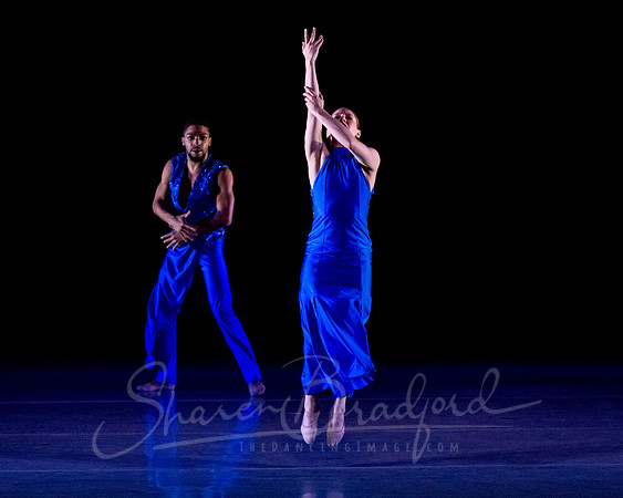 Following Echoes - pc Sharen Bradford-3245