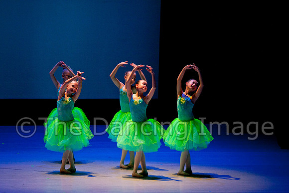 CSPAfri-2003