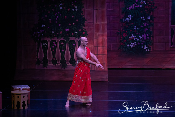 TDC La Bayadere pc Sharen Bradford-2787