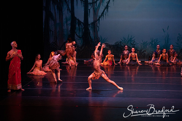 TDC La Bayadere pc Sharen Bradford-2487