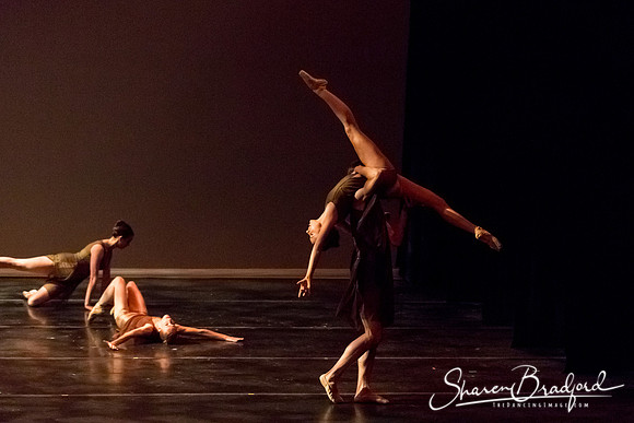 Ballet Dallas Seasons pc Sharen Bradford-1400