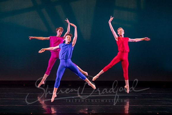 Dallas Ballet Company pc Sharen Bradford-4753