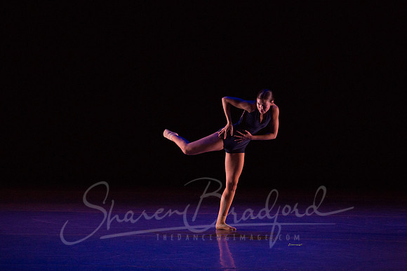 VOLANT  pc Sharen Bradford-9774