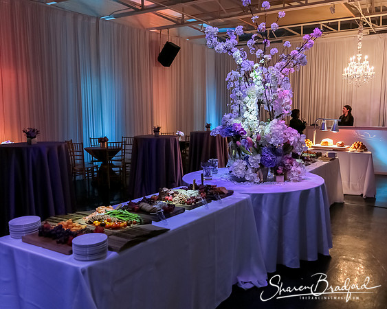 BWD Gala 2019 pc Sharen Bradford-0158
