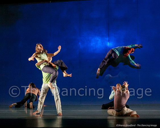 Motionhouse SCATTERED-0257