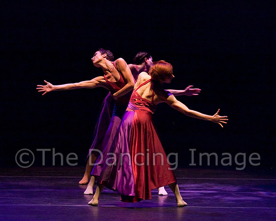 Fall 0981