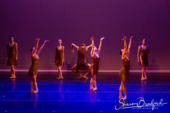 Ballet Dallas Seasons pc Sharen Bradford-1447