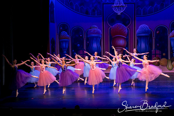 Waltz of the Flowers pc Sharen Bradford-1846