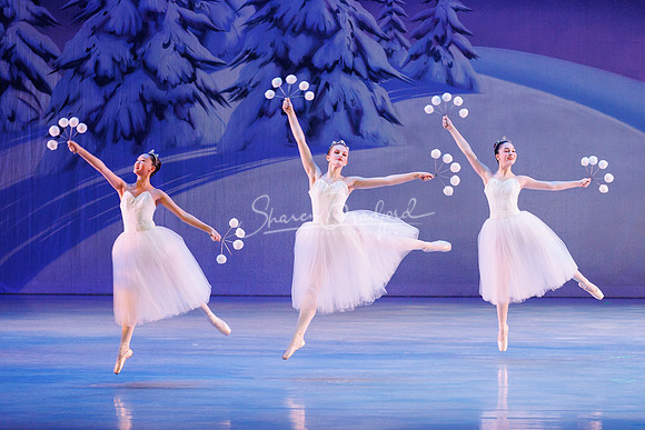 CPA Nutcracker 11-26-23 pc Sharen Bradford-7481