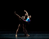 DBDT Execution of a Sentiment pc Sharen Bradford-0890