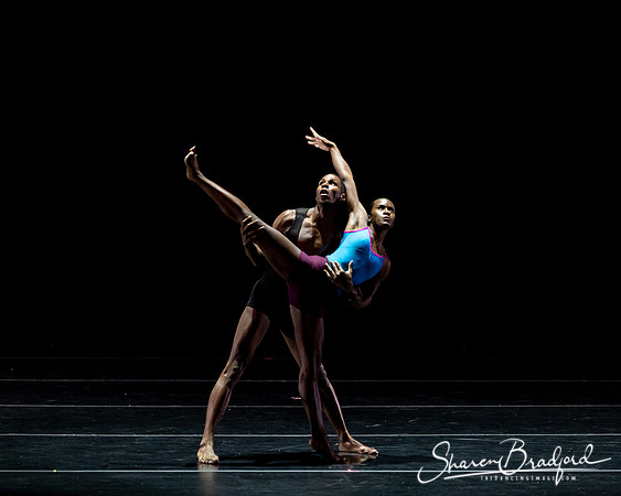 DBDT Execution of a Sentiment pc Sharen Bradford-0890