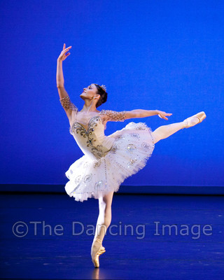 Le Corsaire-1526