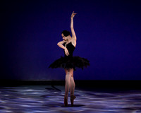 Olga Pavlova_The Dying Swan-3858