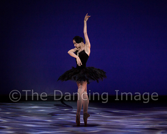 Olga Pavlova_The Dying Swan-3858