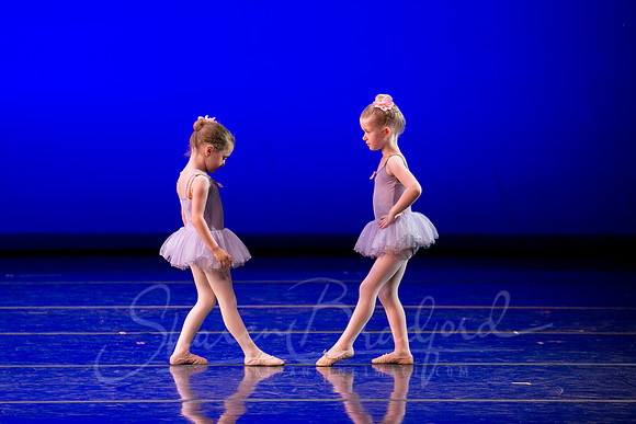 Water Lillies-0319