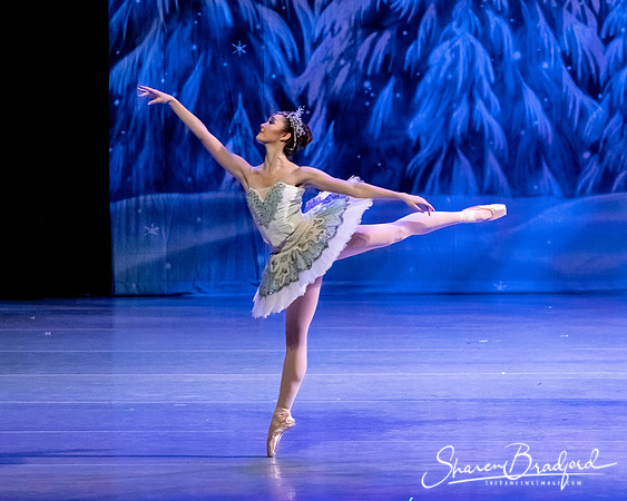CCBT Nutcracker 19 pc Sharen Bradford-4827