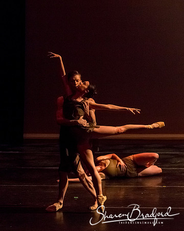 Ballet Dallas Seasons pc Sharen Bradford-1374