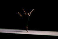 DBDT II-0556