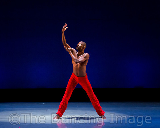 Alvin Ailey ADT-0047