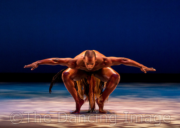 Awassa Astrige Ostrich-0325