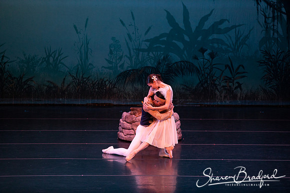 TDC La Bayadere pc Sharen Bradford-2629