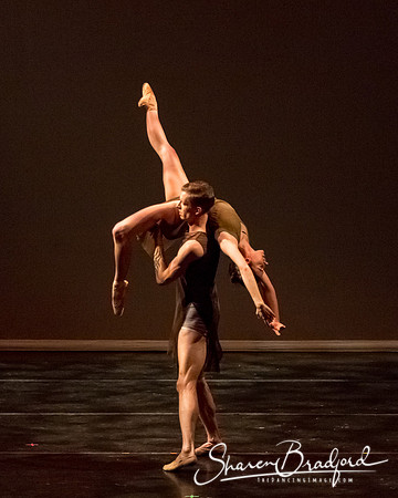 Ballet Dallas Seasons pc Sharen Bradford-1422